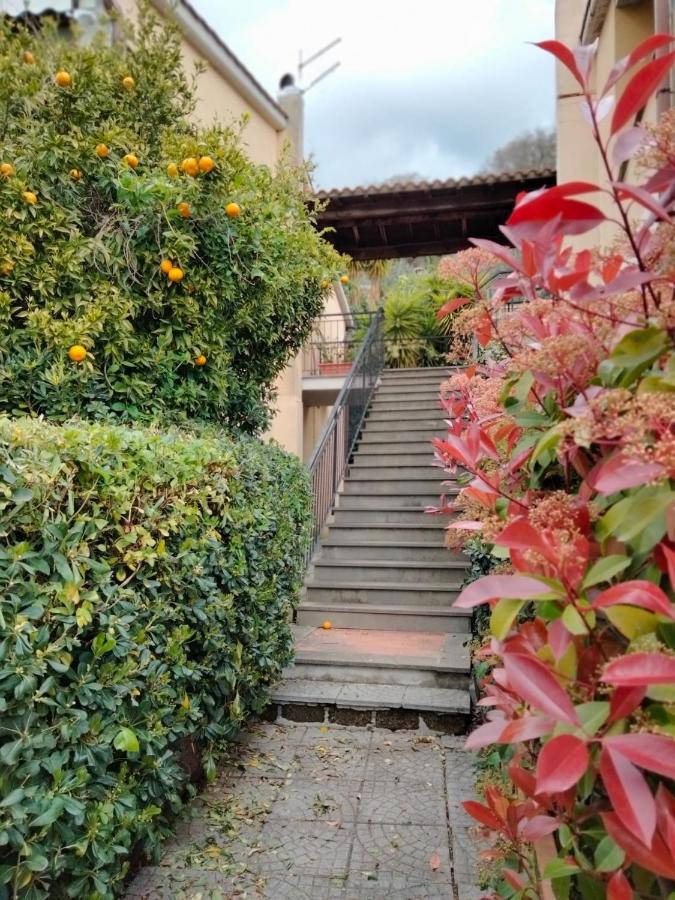 Sguardo Sul Lago Trevignano Romano Exterior photo